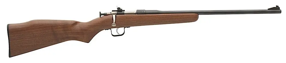 Chipmunk Youth 22 Long Rifle 16.12" 1rd Blued