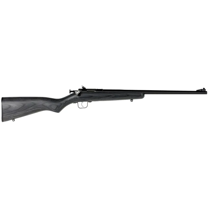 Crickett Youth 22 LR Rifle 16.12" Black KSA2244