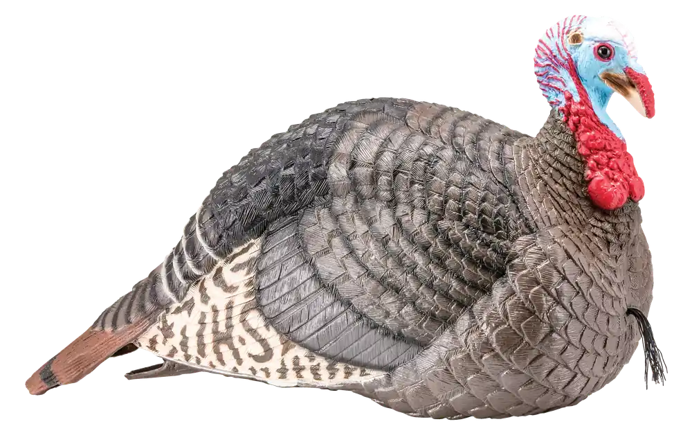 HS Strut Strut-Lite Jake Wild Turkey Species Multi Color Synthetic