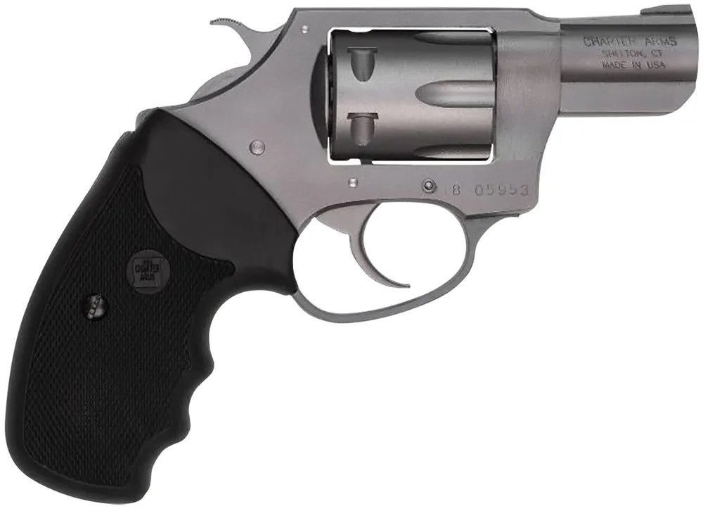 Charter Arms Pathfinder 22 LR Revolver 2" SS 72224