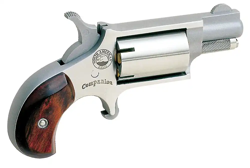 North American Arms Companion SAO 22 Cal 11 Percussion 1.13"