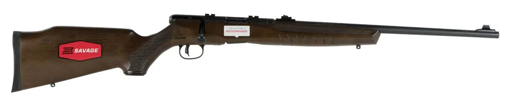 Savage Arms B Series G 22 LR Rifle 21" Matte Black with Satin Walnut