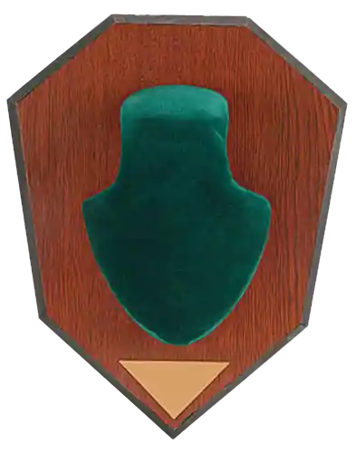 Allen Antler Mounting Kit Green