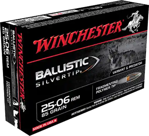 Winchester Ammo Ballistic Silvertip 25-06 Rem 85 gr Fragmenting Polymer Tip 20 Bx/10 Cs