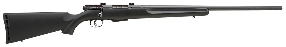 Savage 25 Walking Varminter 204 Ruger Rifle 22" Black 19156