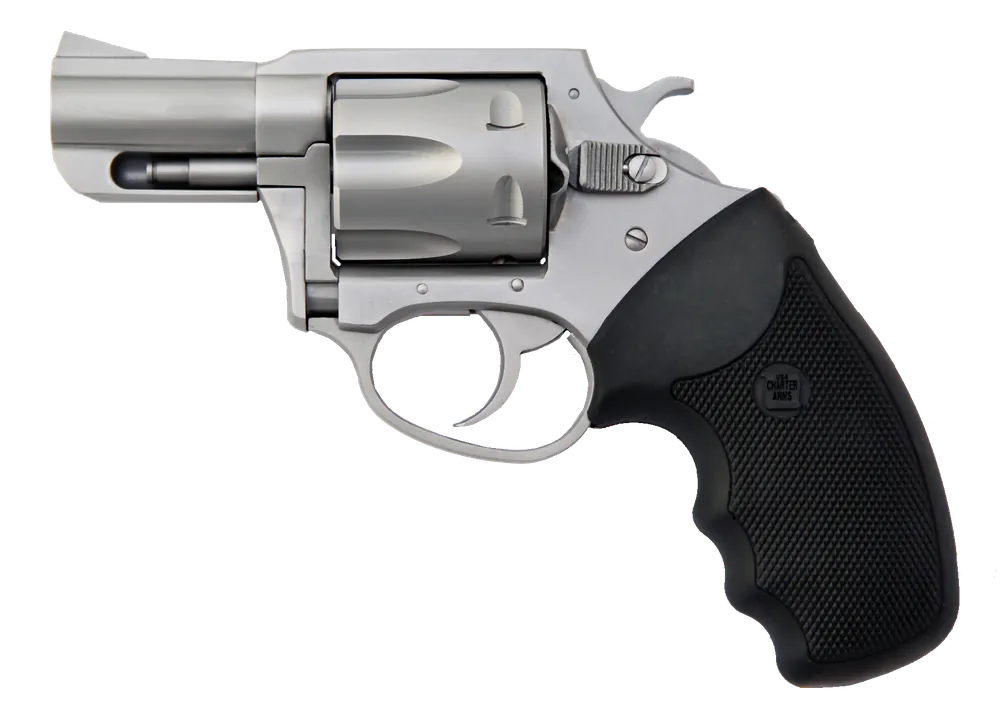 Charter Arms 74020 Pitbull 40 S&W Caliber with 2.30" Barrel, 5rd Capacity Cylinder, Overall Matte Stainless Steel Finish & Finger Grooved Black Rubber Grip