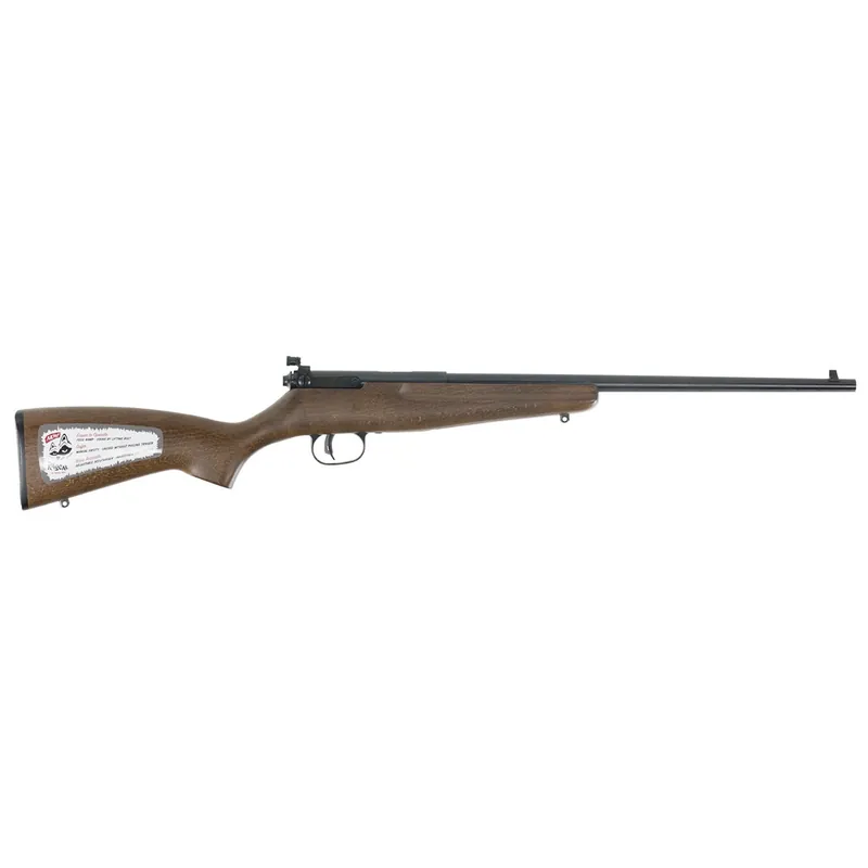 Savage Arms Rascal Youth 22 LR Rifle 16.13" Matte Black 13820