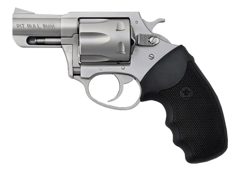Charter Arms Pitbull 9mm Revolver 2.20" 5 Matte Stainless