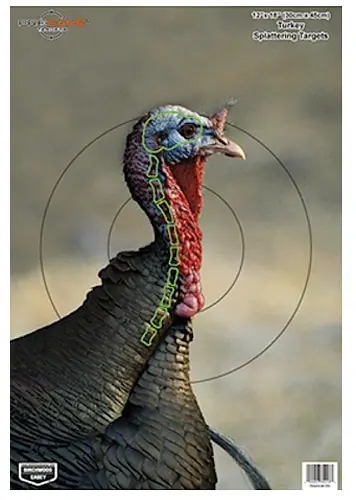 Birchwood Casey Pregame Turkey Paper Hanging Universal 12" x 18" Multi-Color 8 Per Pkg