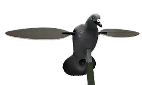 Mojo Outdoors Pigeon Species Multi Color