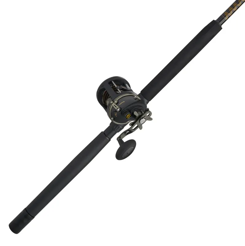 Penn Squall 30 Level Wind Combo 6‘6"