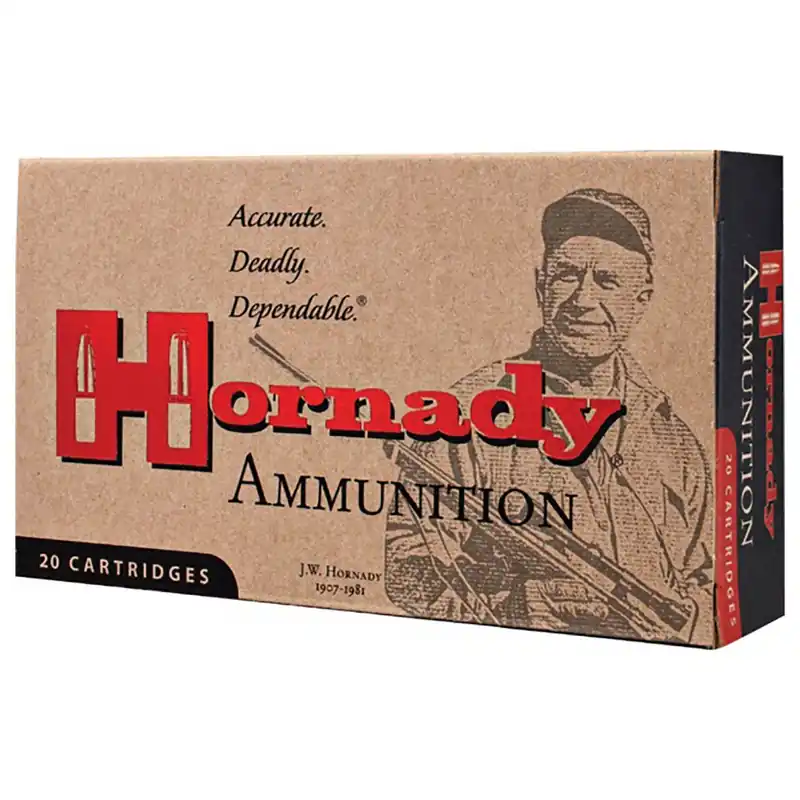 Hornady Custom 300 Blackout 110 gr CX 25/Box