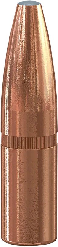 Speer Grand Slam 6mm (.243) 100gr Soft Point Hunting Bullets, 50 Count 1222
