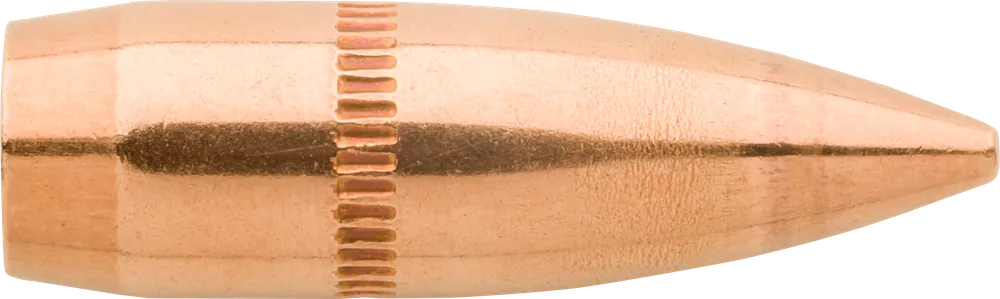 Sierra GameKing .22 Cal .224 55gr Full Metal Jacket Boat Tail Rifle Bullets, 100/Box 1355