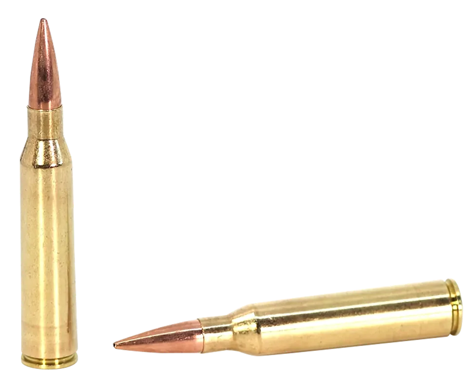 SAKO TRG Precision MatchKing .338 Lapua Mag 300gr HPBT Ammo, 10/Box JASTRG338LM300B