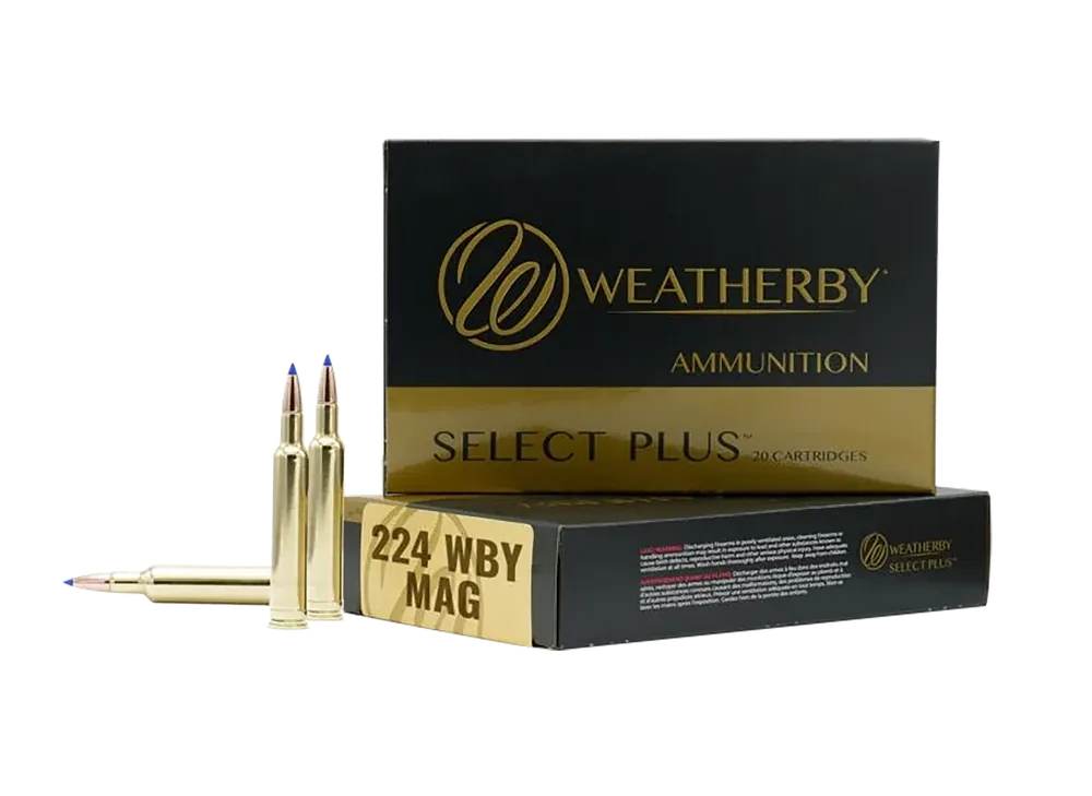 Weatherby Select Plus .224 Weatherby Magnum 37gr Hammer Custom Solid Hollow Point Ammo 20rd M22437HCB