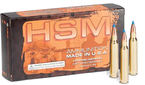 HSM .204 Ruger Varmint Rifle Ammo 32gr Sierra BlitzKing, 20 Rounds per Box (20/Case) 204R3N