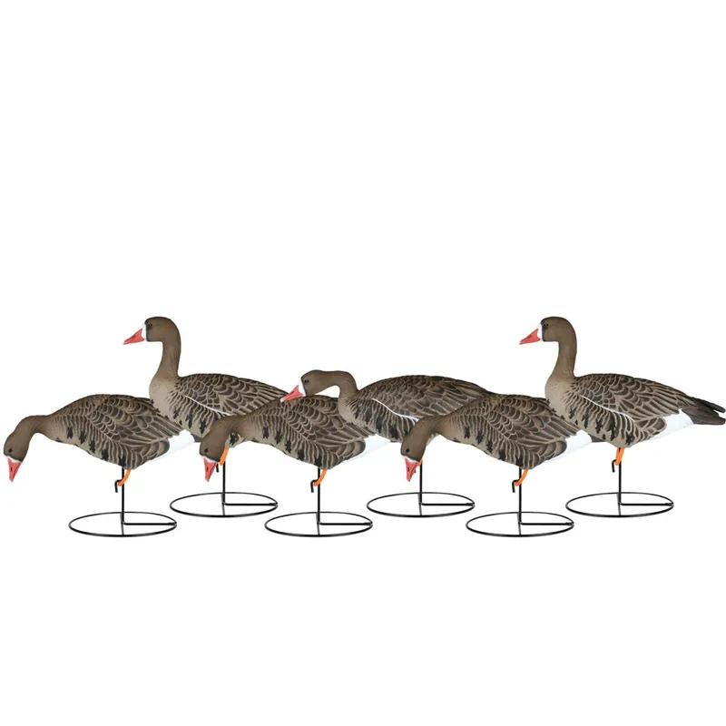 6 Pack Full Flocked Full Body Specklebelly Goose Decoys by Dakota Decoy Company