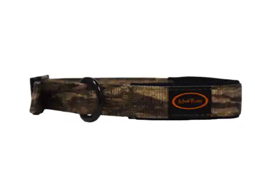 Max 4 Camo Small Swagger Dog Collar by Mud River