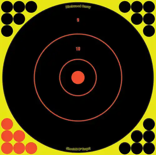 Shoot-N-C 12" Bull‘s-Eye, 5 Pack - 120 Pasters
