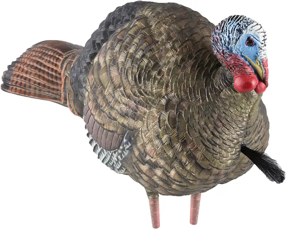 LCD Lifelike Collapsible Decoy Half Strut Jake Turkey Decoy by Avian-X