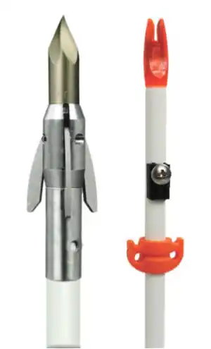 AnKor QT Fiberglass Arrow in Green by AMS Bowfishing
