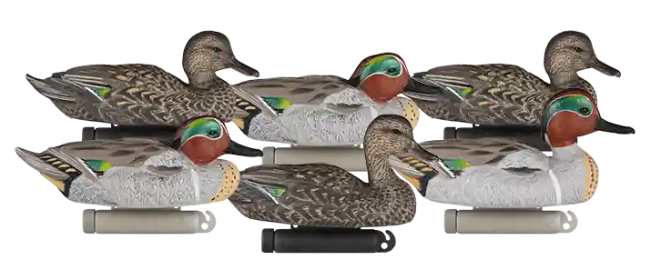 6 Pack X Treme Greenwing Teal Duck Decoys by Dakota Decoy Company