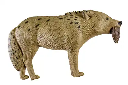 Woodland Coyote Decoy by Rinehart Targets
