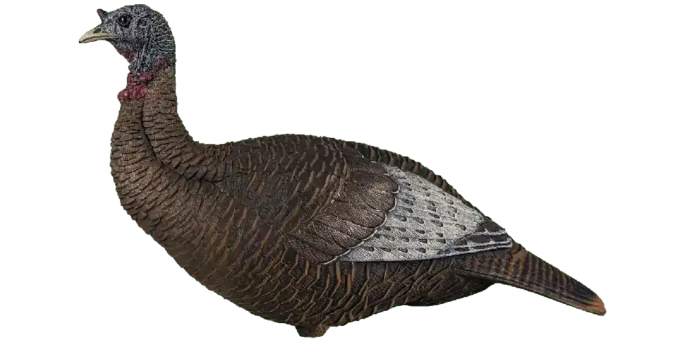 Upright Thunder Chick Decoy by Flextone