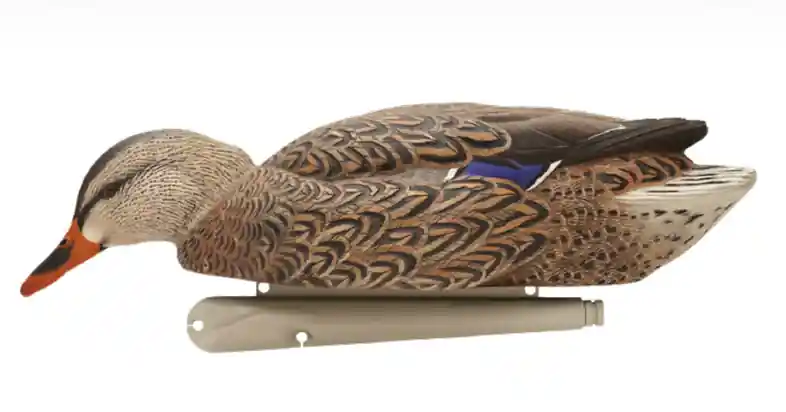 TopFlight Back Water Mallard Duck Decoy by Avian-X