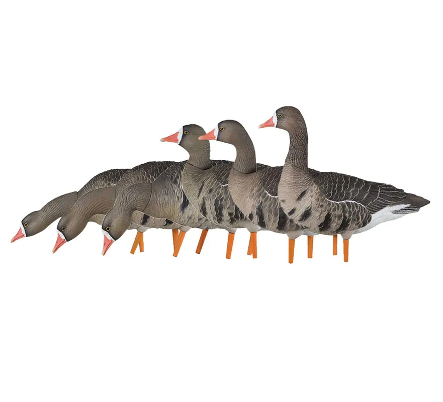 AXF Fusion Speckelbelly Goose Fusion 6 Pack Decoy by Avian-X