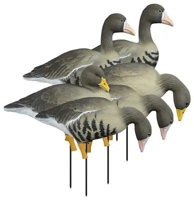 APEX Full Size Specklebelly Full Body Goose Decoys Variety 6 Pack by Higdon Outdoors