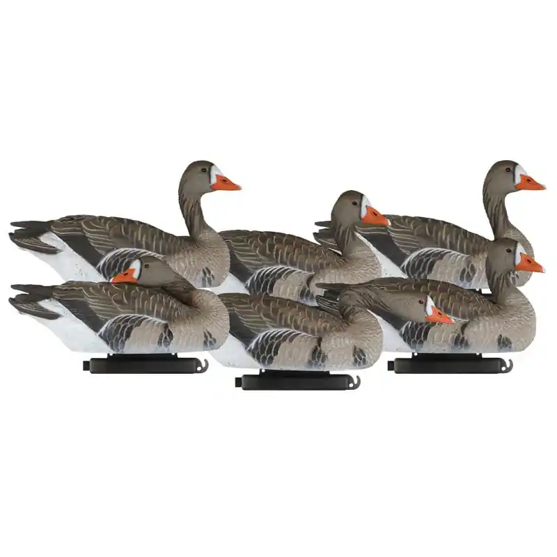 6 Pack X Treme Specklebelly Goose Floater Decoys by Dakota Decoy Company