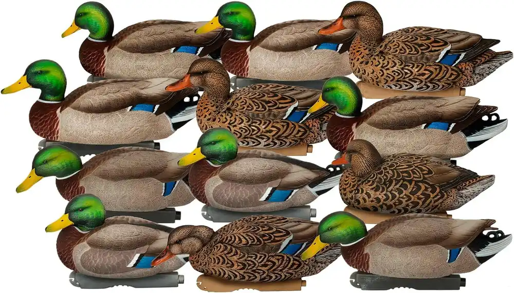12 Pack GHG Pro-Grade XD Series Harvester Mallard Decoys by Avery