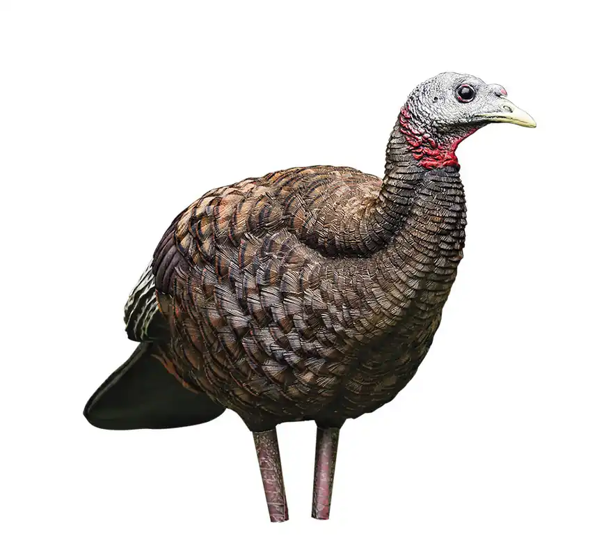 LCD Lifelike Collapsible Decoy Breeder Hen Turkey Decoy by Avian X