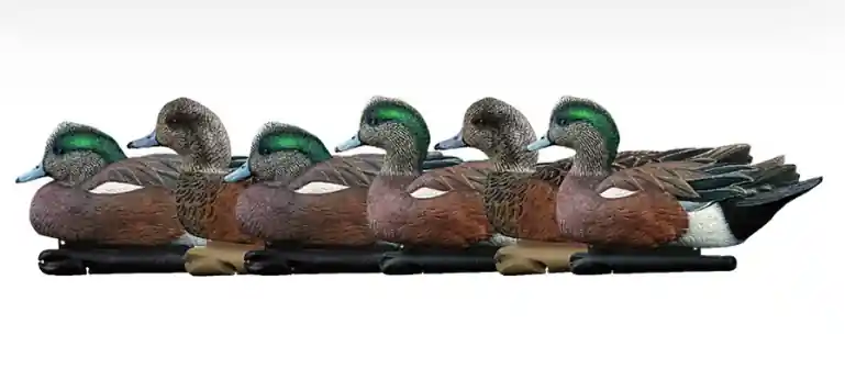 TopFlight Wigeon Duck Decoy by Avian-X