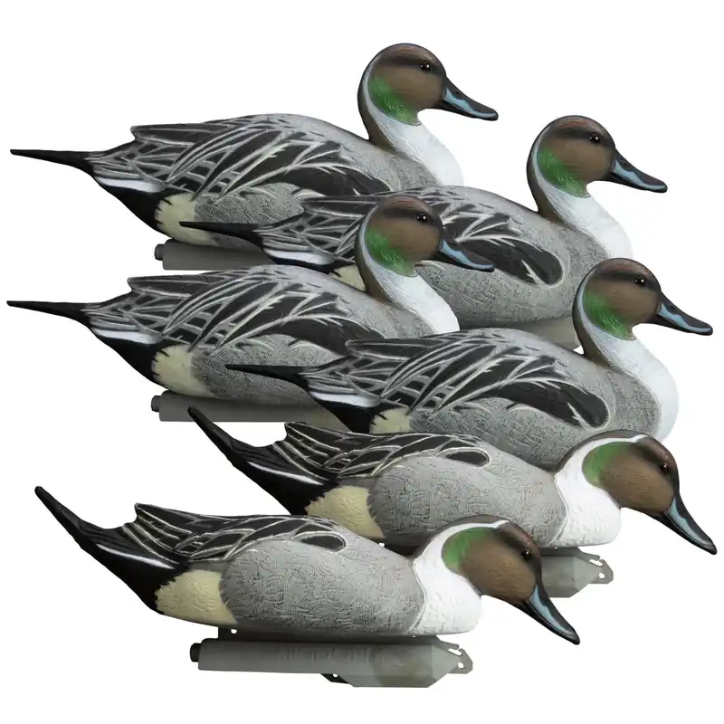 6 Pack Battleship Pintail Drake Foam Filled Duck Decoy by Higdon Outdoors