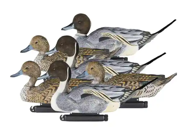 6 Pack X Treme Pintail Duck Floater Decoys by Dakota Decoy Company
