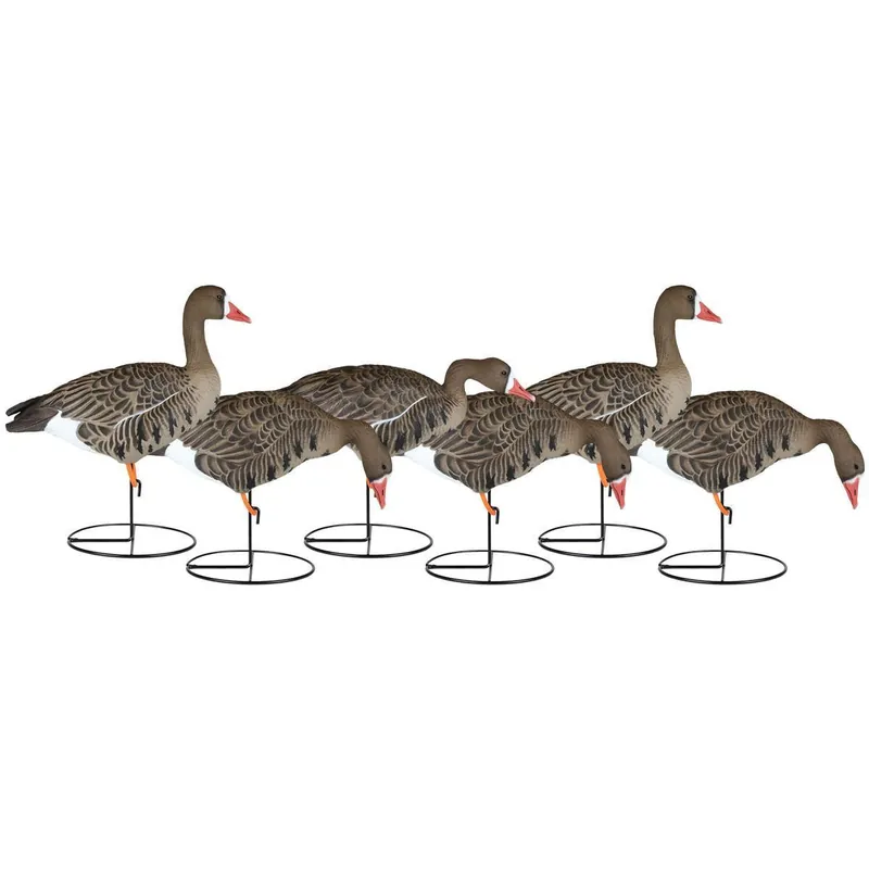 6 Pack X Treme Full Body Specklebelly Goose Decoys by Dakota Decoy Company
