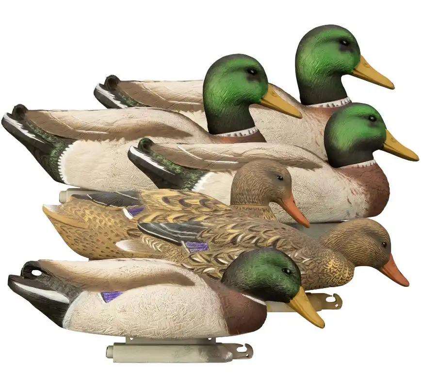 6 Pack Magnum Mallard Foam Filled Duck Decoys with Painted Heads by Higdon Outdoors
