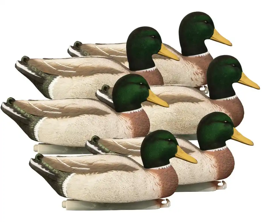 Flocked Head Magnum Mallard Drake Foam Filled Duck Decoys 6 Pack by Higdon Outdoors