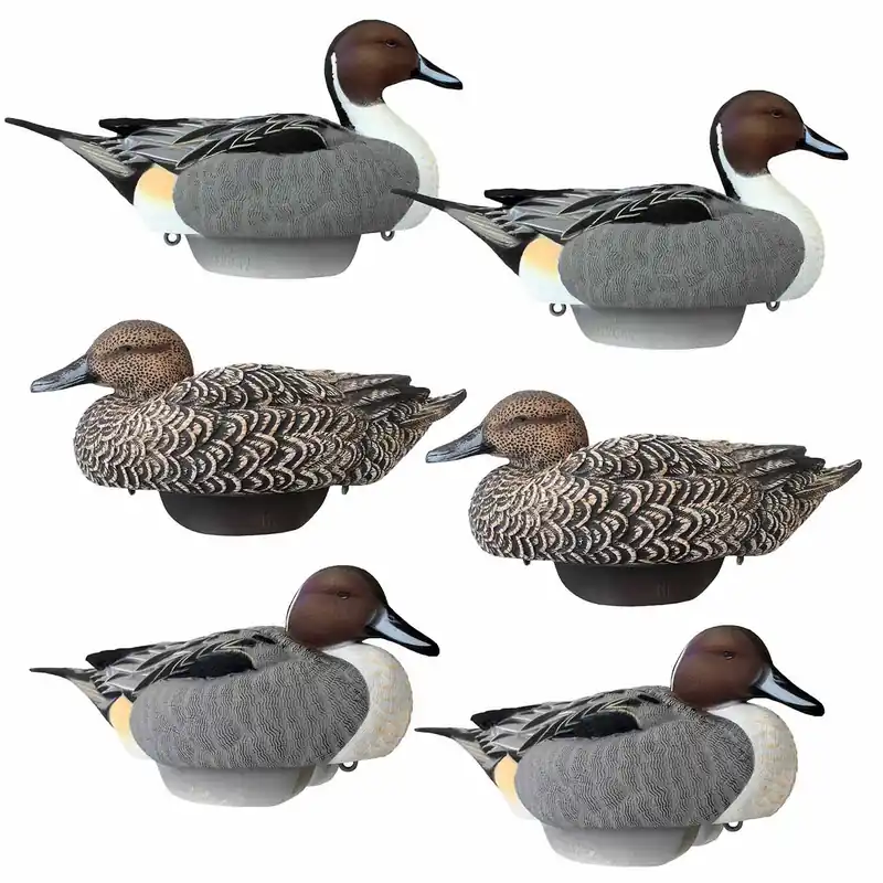 6 Pack of HydroFoam Pintatil Duck Decoys by Heyday