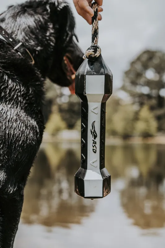 PerfectHold Bumper by Banded