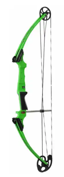 Green Right Handed Compound Bow by Genesis Archery
