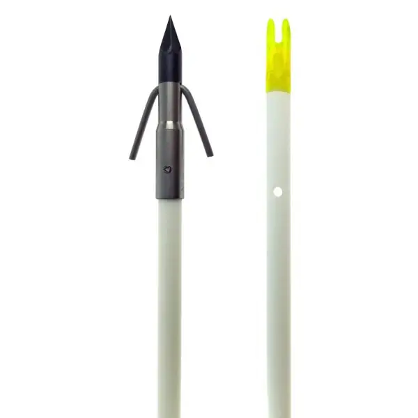 Classic Fish Arrow With Carp Point by Muzzy