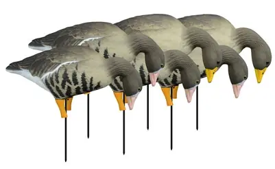 APEX Full Size Specklebelly Full Body Goose Decoys Feeder 6 Pack by Higdon Outdoors