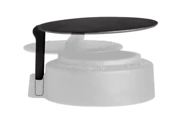 Big Green Egg Rain Cap For rEGGulator Fit 2X