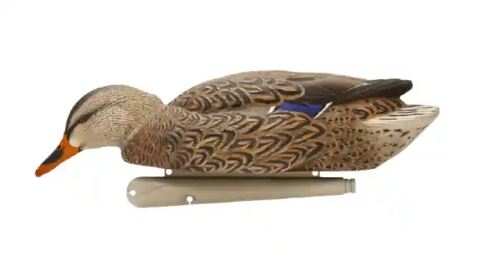 TopFlight Back Water Mallard Decoys 6 Pack by Avian X