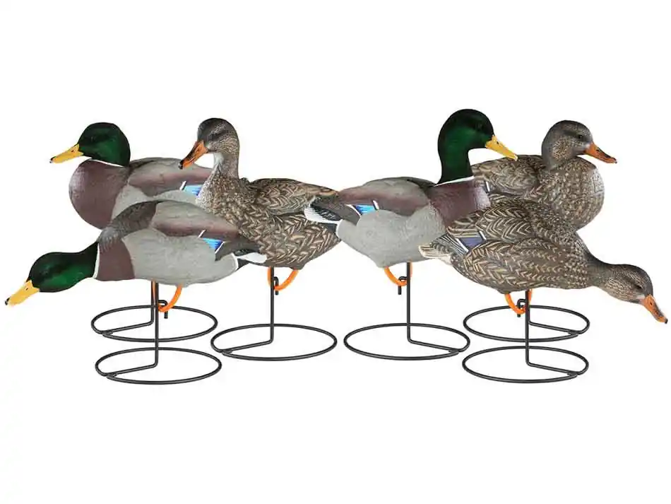 6 Pack X Treme Full Body Mallard Duck Decoys by Dakota Decoy Company