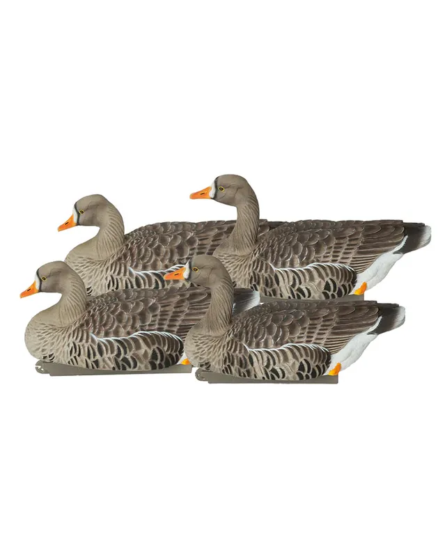 4 Pack GHG Pro Grade XD Series Specklebelly Active Floater Goose Decoys by Avery